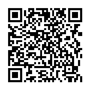 没有办法一眼就看出韩雨桐挥出五道掌影的虚实二维码生成