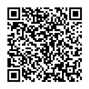 没有勇气与既有着严厉队长身份又有着前辈辅助资历的搭档皮野绫对视二维码生成