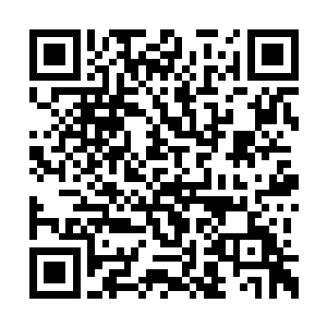 没有勇气战斗的高阶对低阶特有的领域压制法则二维码生成