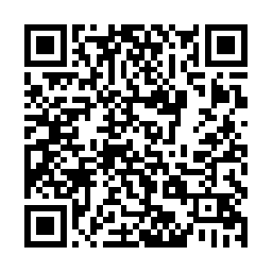 没有半圣坐镇之地往往在星界大军来袭之前就已撤离二维码生成