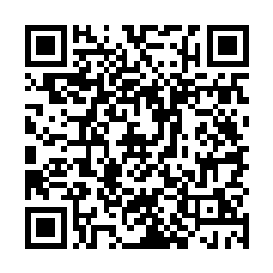 没有发现在牛村宅子最大最富的财主墙根下有一个地窖二维码生成