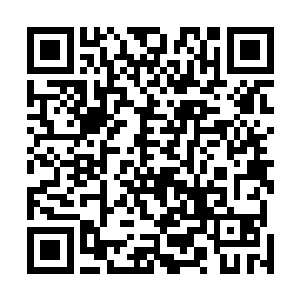 没有受伤的八人只能怔怔的看着两只鬼相拥着恩爱的远去二维码生成