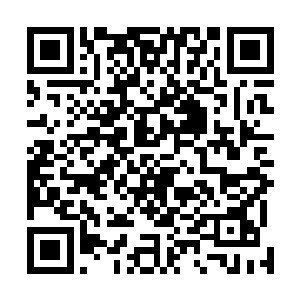 没有哪个不开眼的敢来找他这个被龙皇选中的弟子的麻烦二维码生成
