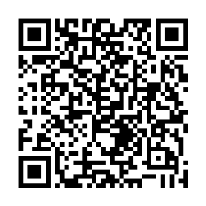 没有哪个势力敢保证自己的宗门弟子能够达到这样的修为二维码生成