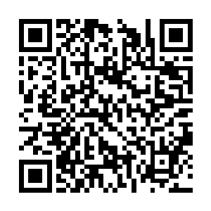 没有哪个职业选手会傻到光明正大地站出来打单子二维码生成