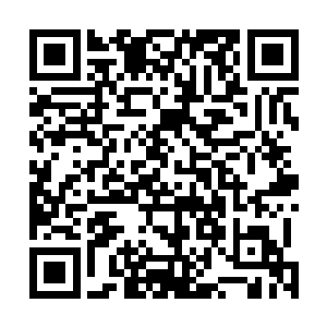 没有哪个骗子蠢到打着半圣世家的旗号来若卢狱招摇撞骗二维码生成