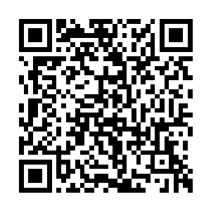 没有封口的红包里厚厚一沓百元大钞散落了下来二维码生成