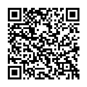 没有当天晚上就吵着回家已经算是非常不容易了二维码生成