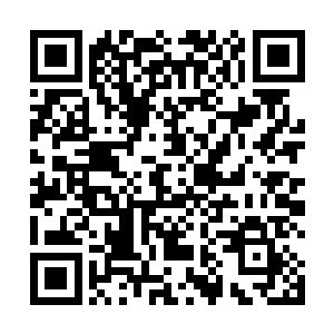 没有必要这么隆重吧要知道我们当初刚进入内堂的时候二维码生成