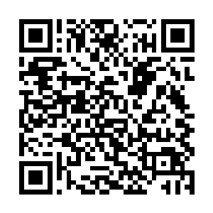 没有想到你拥有的那件宝物竟然让你变得如此的强大二维码生成