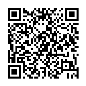 没有想到对方的斧头却连自己的神之领域都没有办法攻破二维码生成