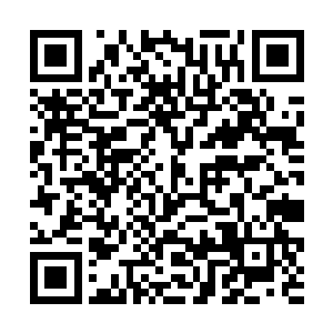 没有想到小荒竟然喝了茶叶突破的时候就领悟神通了二维码生成