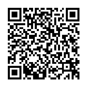 没有想到我们火焰一直依仗的夜清梦竟然是海外灵宝岛的奸细二维码生成