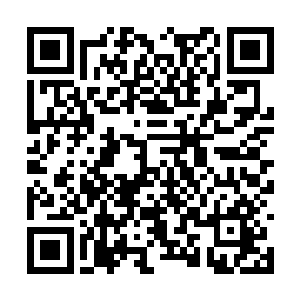 没有想到燕星云这种大乘期修士也有着顽童的一面二维码生成