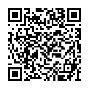 没有想到眼前这个珠光宝气的暴发户会是罗天霸二维码生成