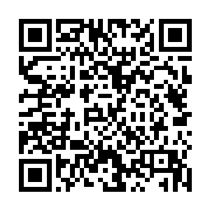 没有想到自己在口才上面竟然输给了这样一个小女孩子二维码生成