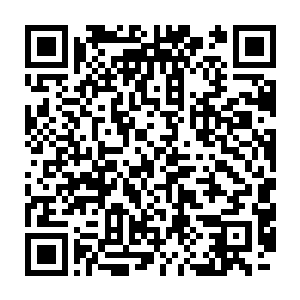 没有想到让修士人人自危的蜈蚣在范筱梵的攻击之下如此不堪一击二维码生成