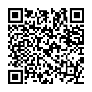 没有想到许紫烟有给他们弄出一个仙君后期的傀儡二维码生成