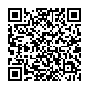 没有想到路广天此时正在从南方向着北方返回的路上二维码生成