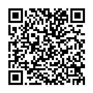 没有想到这家伙在齐浩的纯阳真火面前竟然还没有死二维码生成
