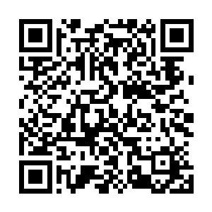 没有想到遇到这些人才短短两天的光景就能受到这样的待遇二维码生成