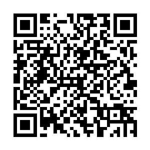 没有想到那条黑蛇的嘴仍然紧紧地咬在他的脚踝上二维码生成