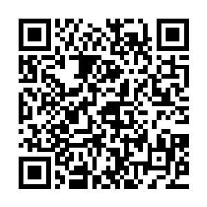 没有找到任何可疑的资料――甚至连他偷税漏税的证据都没有二维码生成