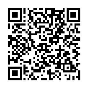 没有接触过风水的人也许对赖布衣这个名字很陌生二维码生成