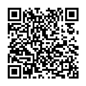 没有携带任何重武器和巨型魔兽的小分队放在眼里二维码生成