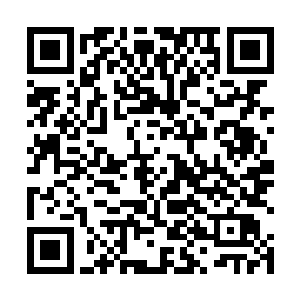没有救世主……这片亡者世界里阴极阳生孕育所有生灵二维码生成