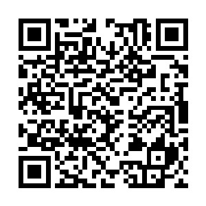 没有杀掉他们的意思又放任他们在基地中四处乱撞二维码生成