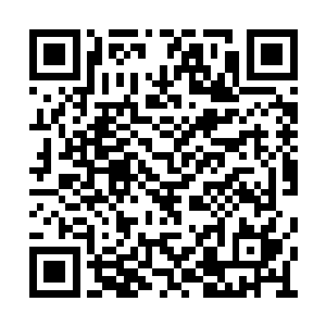 没有混沌之气夏雨能找机会把江逸的肉身给毁了二维码生成