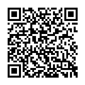 没有用佯装浏览会客厅的布置来掩饰自己的心境二维码生成