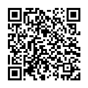 没有真龙血脉的后裔是根本没有办法取走这里的宝物的二维码生成