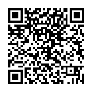 没有窗户的墙面上还沾满了一团一团黑乎乎的液体二维码生成