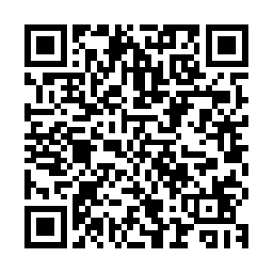 没有组织起来的一万多骑士这个就在洞天之内像苍蝇一样的乱飞二维码生成