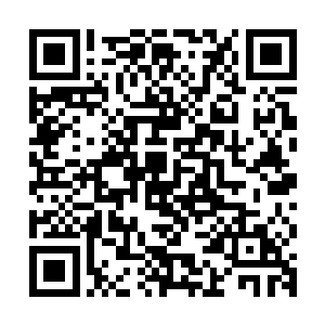 没有经过小姐的许可就将一个陌生人带进我们白帝家族的飞舟内二维码生成