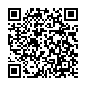 没有被人针对她是很开心啦――但是你们这么纵容白兰真的好么二维码生成