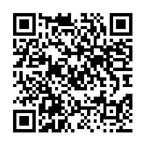 没有被砸到的十之五六也被吓得跪倒在地上不敢起来了二维码生成