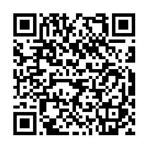 没有被选中的人则是更加卖力的打猎还有防守部落二维码生成