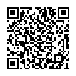 没有认出华夏九便是那最近在上海镇游荡的傻子二维码生成