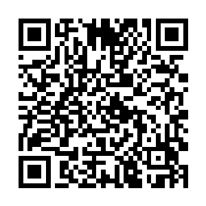 没有说谎……今天对我来说……真的是最后的纪念日二维码生成