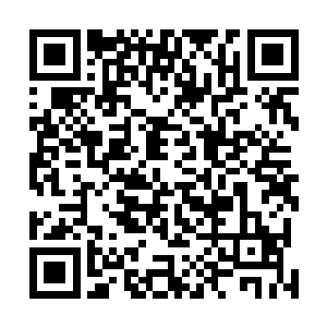 没有读过的玩家则可以通过这个了解一些基本的剧情设定二维码生成