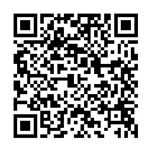 没有达到结丹期的修士都不好意思大摇大摆地进入都市二维码生成