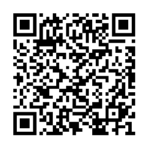 没有鉴定的物品……这意味着自己只能瞎摸索了二维码生成