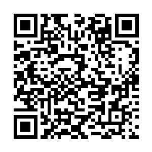 没来由的就想到了当日自己在这小屁股上所做的一切二维码生成
