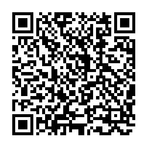 没法将自己从阵眼里解脱出来--它的尾巴已经有部分再次被阵眼吸收回了地狱二维码生成