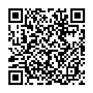 没用……你这些雕虫小技我定会将刚才异常汇报给……二维码生成