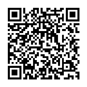 没看他爹娘还有爷奶的表情丝毫没有好转还有越来越黑的趋势吗二维码生成