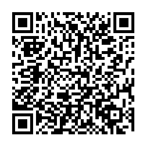 没看到就连火离若将军和圣殿的修斯长老都同时前往白雪城拜访信前辈吗二维码生成